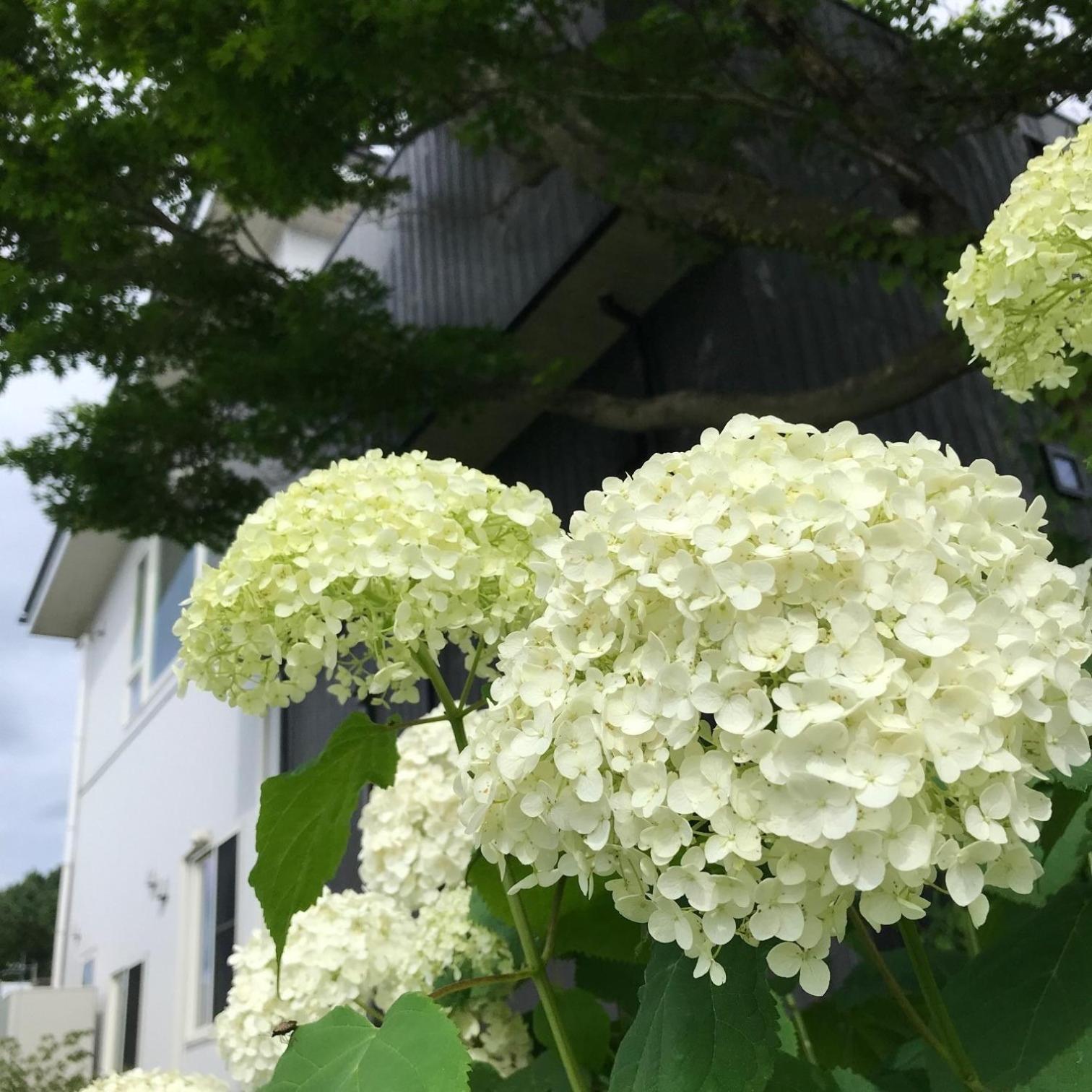 Sweet Villa Takasama - Vacation Stay 11775 Fudžijošida Exteriér fotografie